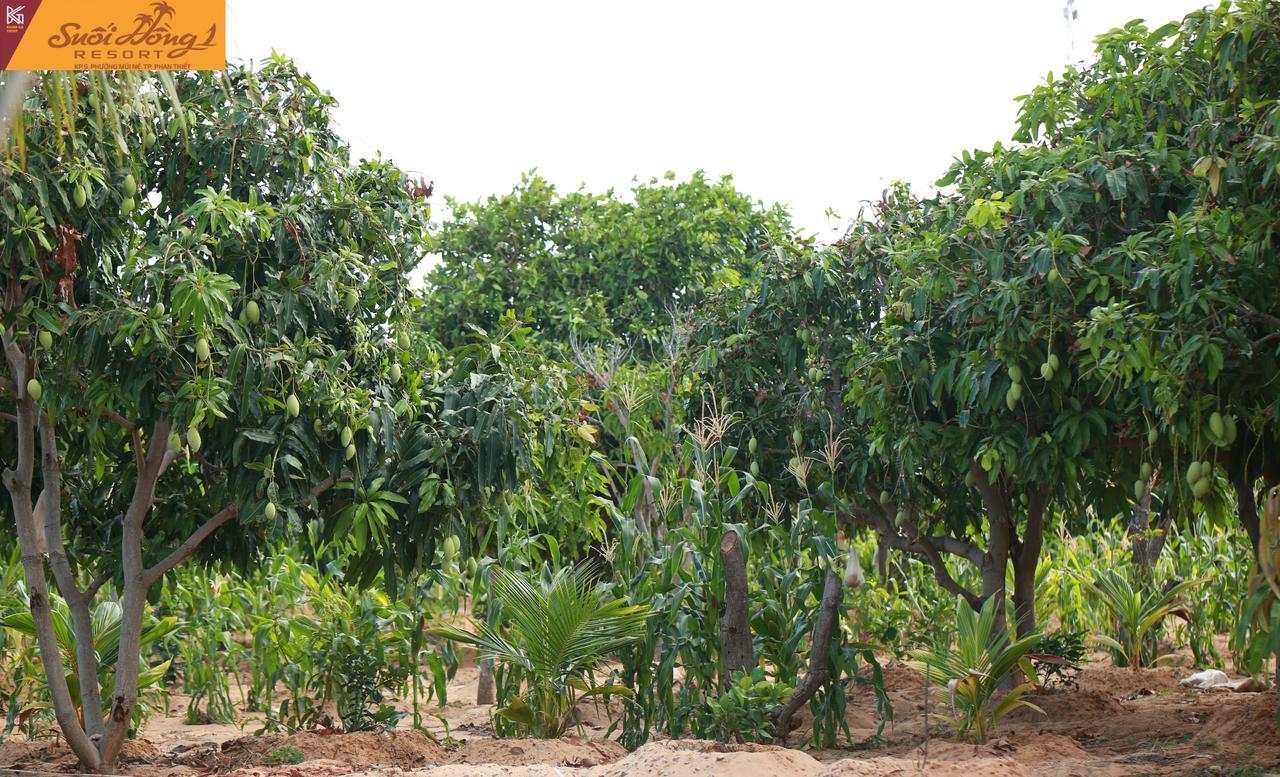 Suoi Hong Resort Mui Ne Exterior foto